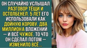 «Тёща проговорилась: он понял, что 5 лет жил в чужой квартире без прав» Слушать житейские истории