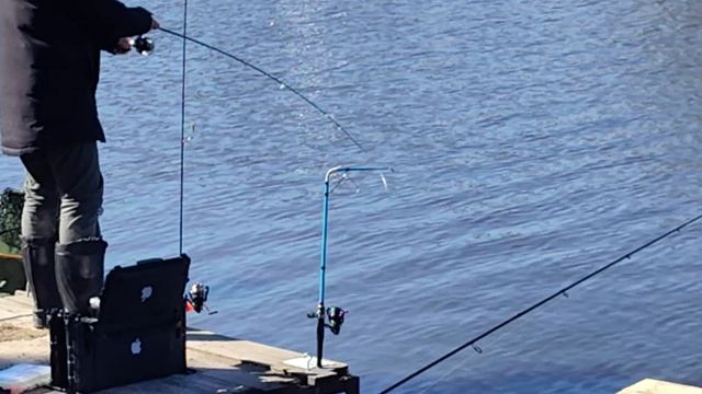 Светлые Горы Форель8 25.04.2026г.