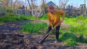 Начинаем САЖАТЬ КАРТОШКУ В Конце Апреля.