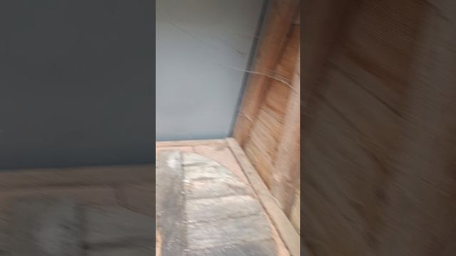 6576.mp4домище