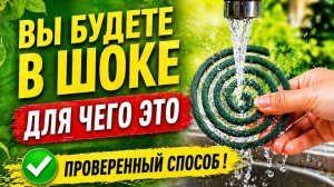 Намочите спираль от комаров, вы даже не догадываетесь, для чего
