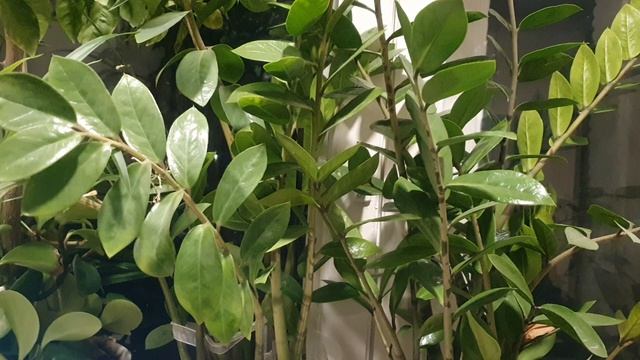 Настоение на нуле...