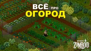 Всё про Огород в Project Zomboid
