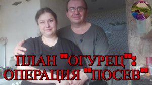 Огурцы и любовь: сажаем с душой