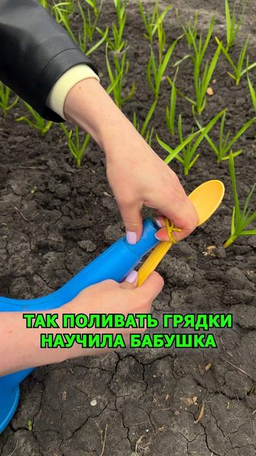 Так поливать грядки научила бабушка