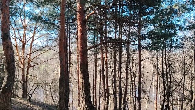 Лучшая работа в мире для простого человека