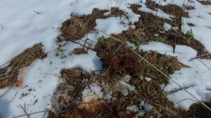 Открываю сезон 2026 года