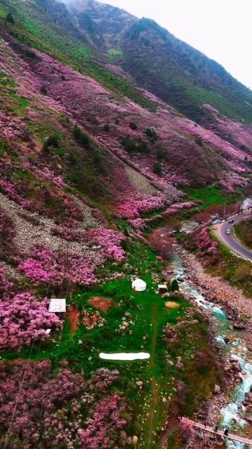 Кыргызстан 🇰🇬