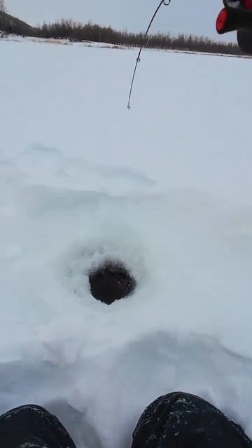 Видео от За Трофеем: Охота и Рыбалка