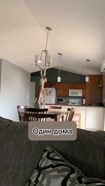 video_2026-03-06_15-22-27