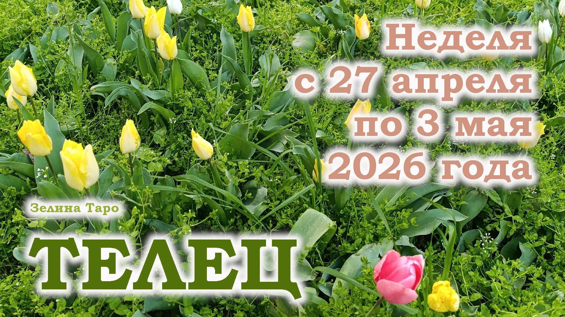 ТЕЛЕЦ | ТАРО прогноз на неделю с 27 апреля по 3 мая 2026 года