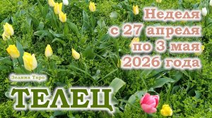 ТЕЛЕЦ | ТАРО прогноз на неделю с 27 апреля по 3 мая 2026 года