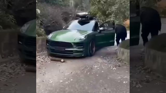 Видео от HackAvto – Лайфхаки и фишки для авто