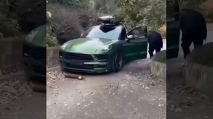 Видео от HackAvto – Лайфхаки и фишки для авто