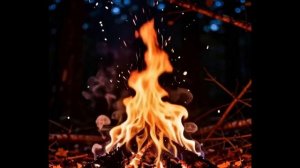 Рассказы у костра: Ольга Бравенькая, Сергей Завхозный и Саня Маленький жарят картошку