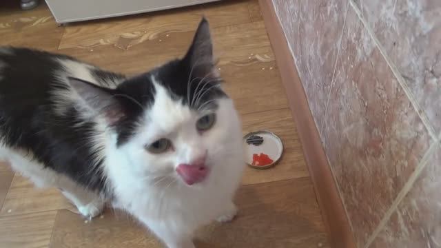 БРАТЬ ИЛИ НЕ БРАТЬ В СВЕТОФОРЕ,икра лососевая имитированная красная,черная осетровая имитированная.