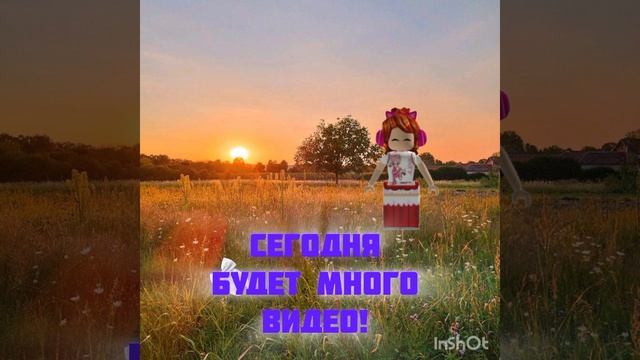 Много видео