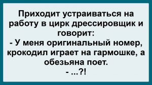 Дрессировщик в цирке... Пикантные, Смешные, Остренькие, Жизненные Анекдоты! Юмор! Смех! Позитив!