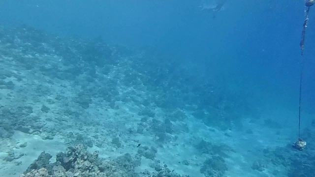 мир хургады заплывы татьяны