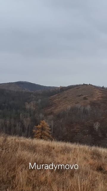 Осень в Мурадымово: когда ветер в спину, а вершина манит 🍂⛰️