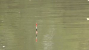 Лучшая наживка по весне на озере! Рыбалка на карася на пруду (2020г)