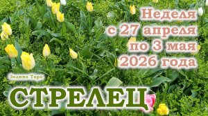 СТРЕЛЕЦ | ТАРО прогноз на неделю с 27 апреля по 3 мая 2026 года