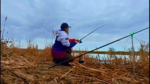 ЭТИ КАРАСИ ПРОСТО ГНУТ УДОЧКИ! РЫБАЛКА НА ПОПЛАВОК ВЕСНОЙ