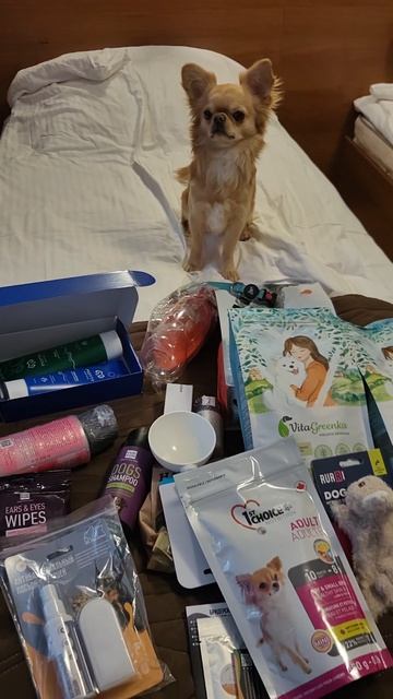 We are the champions my friends🏆
#чемпион #легенда #топ #шоу