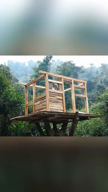 The great skill of the man into the forest alone to make a tall tree house survival bushcraft [get.g