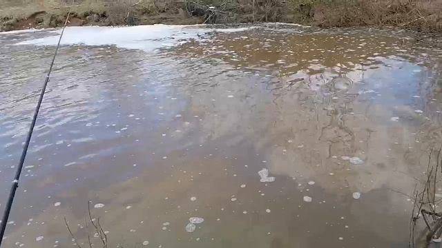 РЕАЛЬНАЯ РЫБАЛКА СЕЛЬСКАЯ