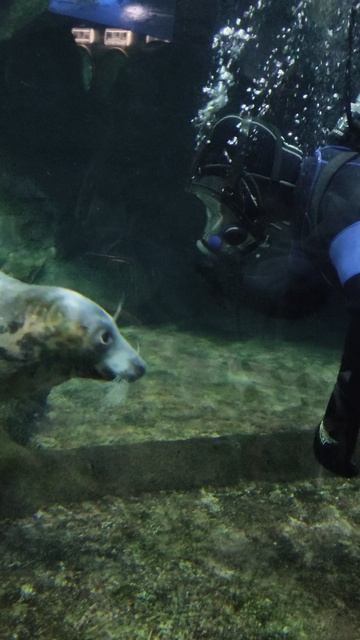 VID_20260203_153922.mp4