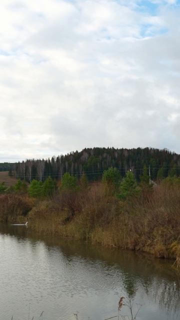 рыбалка на фидер