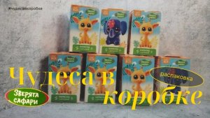 🦁🐘 Наша большая охота за «Зверята Сафари»! 10 коробочек и... 😭