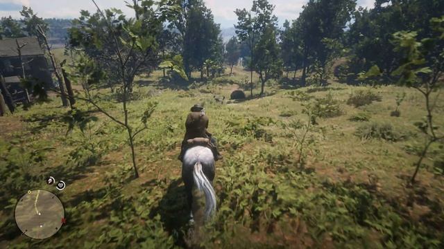 Red Dead Redemption 2 часть 11