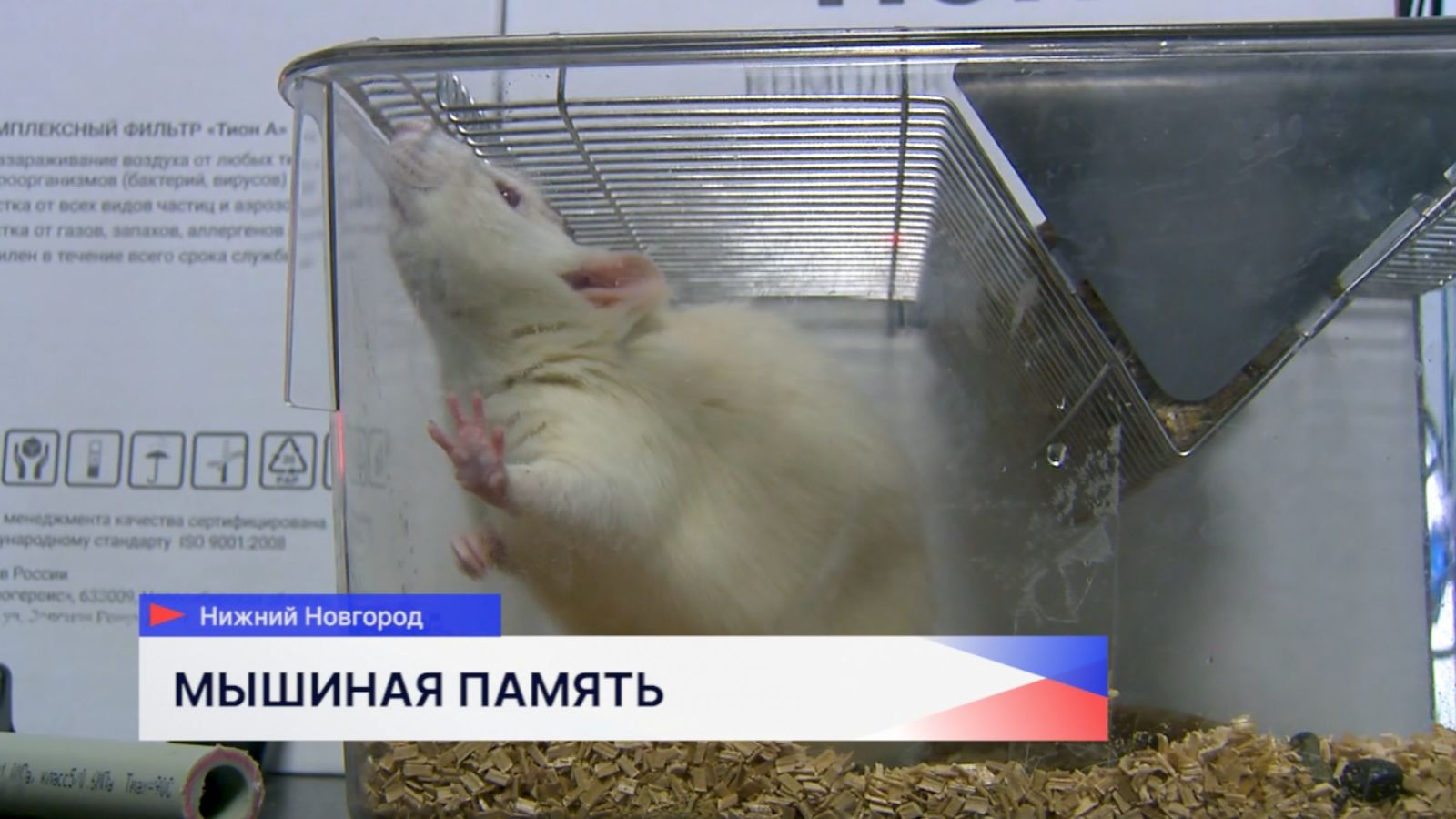 блок мыши__25-04-2026