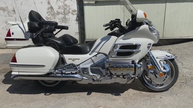 Honda GL1800 арт. 50254