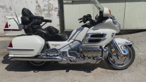 Honda GL1800 арт. 50254