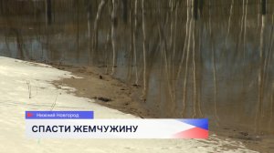 Тревожный сигнал из Сормова: жемчужина района – озеро Светлоярское – оказалась под угрозой засухи