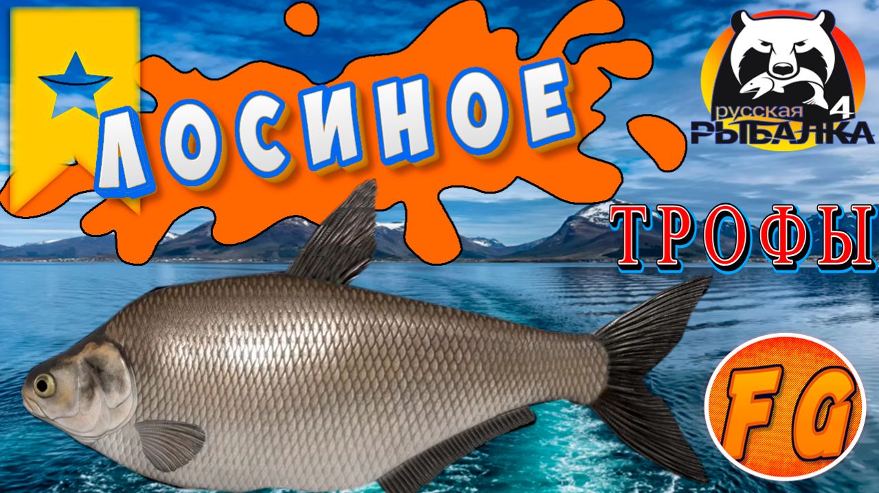 ТРОФЕЙНАЯ ТОЧКА на озере Лосиное. Трофей Дросома. Русская рыбалка 4. рр4. Russian Fishing 4