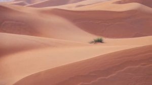 Самая богатая и безопасная страна, в которой нет туристов