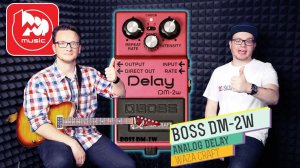 BOSS DM-2W - аналоговый Delay