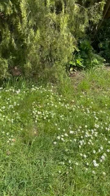 Ялта 💖💖💖