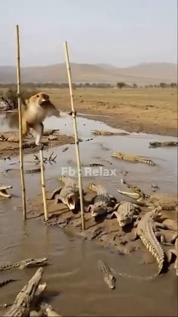 Проход через Ормузский пролив