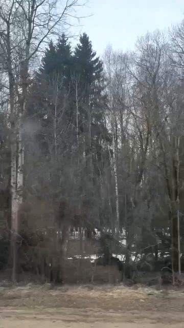 Весенняя дорога