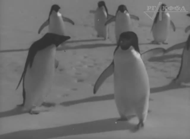 К/ж «Пионерия» (№ 8, 1956 г.), фрагмент.