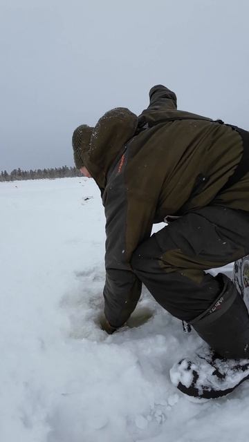 Щука на гвоздь