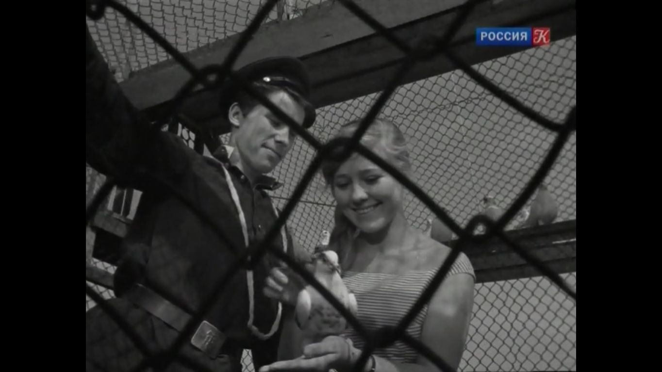 Алексей Локтев и Светлана Савёлова в фильме Якова Сегеля 