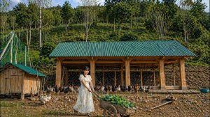 «Горная куриная ферма» — упорный труд вознаграждается.