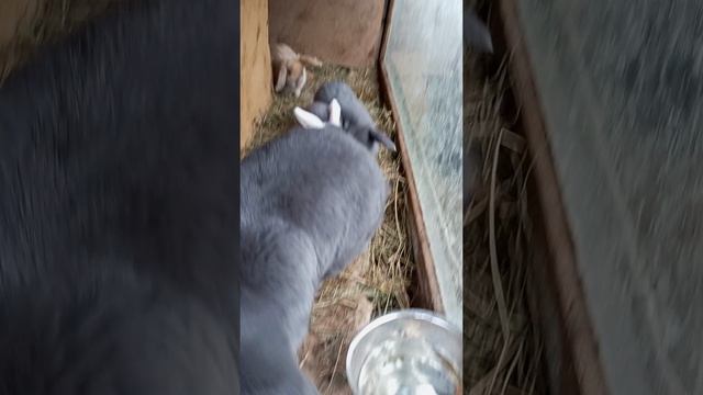 25 апреля 2026(нас месяц)