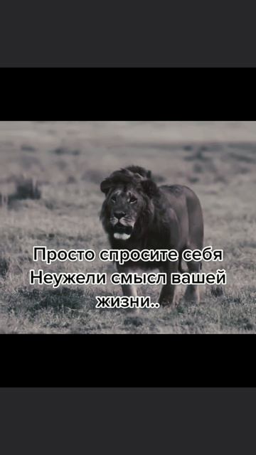 Переходи в канал, и начни свой путь к лучшему себе.
👆👆👆
——————
#бизнес #финансы #деньги 
#маркетинг